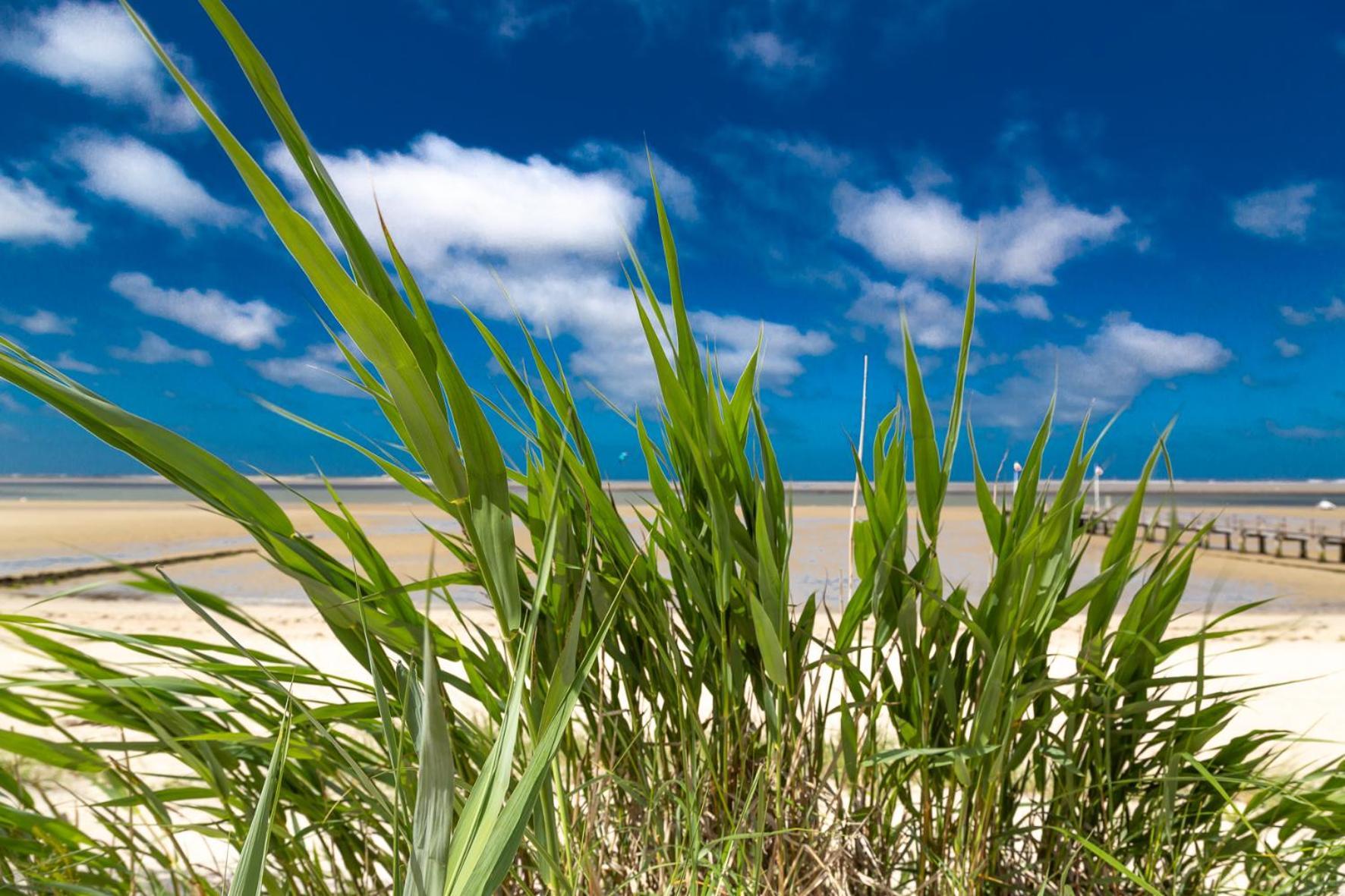 Wyk auf Föhr Wohnen Am Suedstrand - Ferienwohnung 0 4 מראה חיצוני תמונה